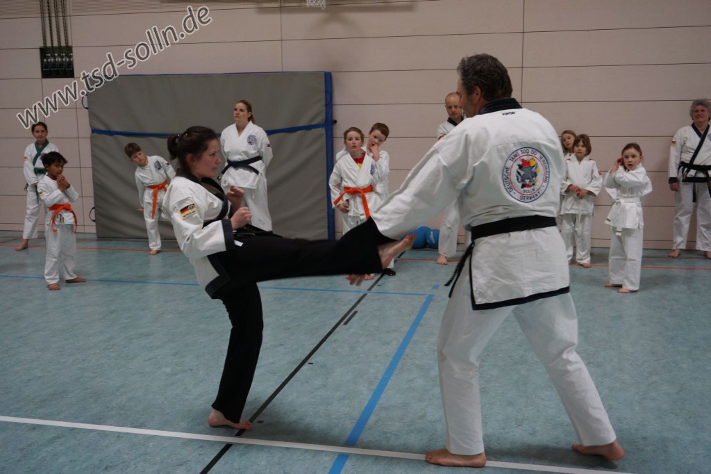 Tang Soo Do Technikerklärung