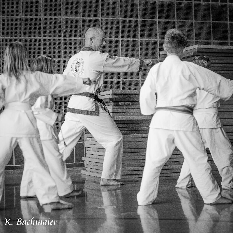 Basistechniken des Tang Soo Do