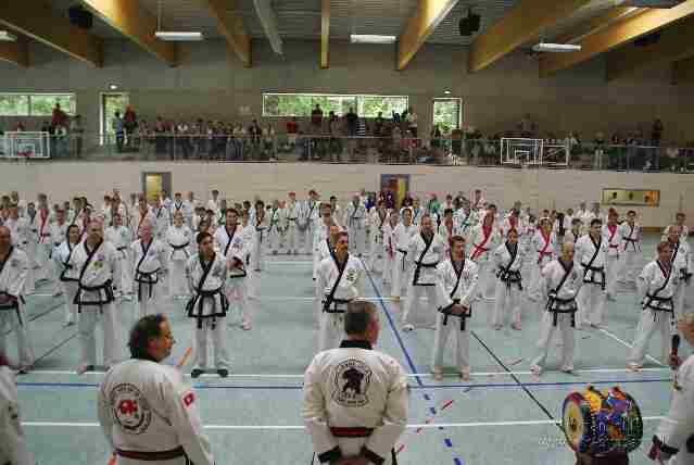 Tang Soo Do Angrüßen Aufstellung aller Teilnehmer